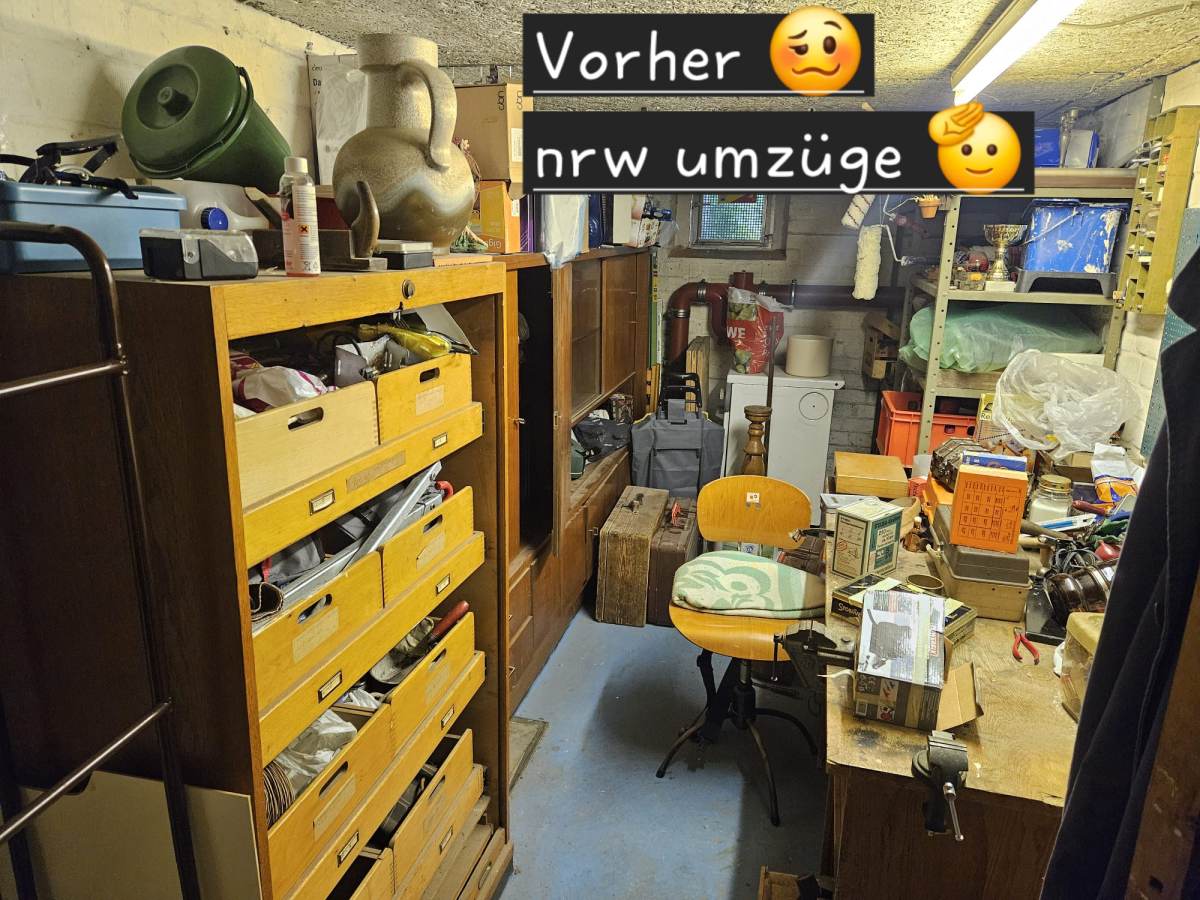 Galerie Bild