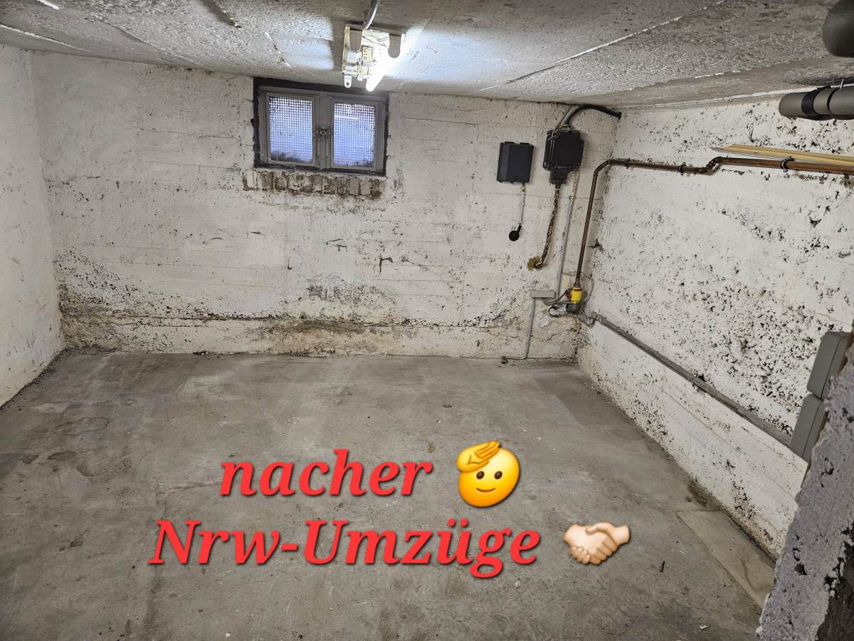 Galerie Bild